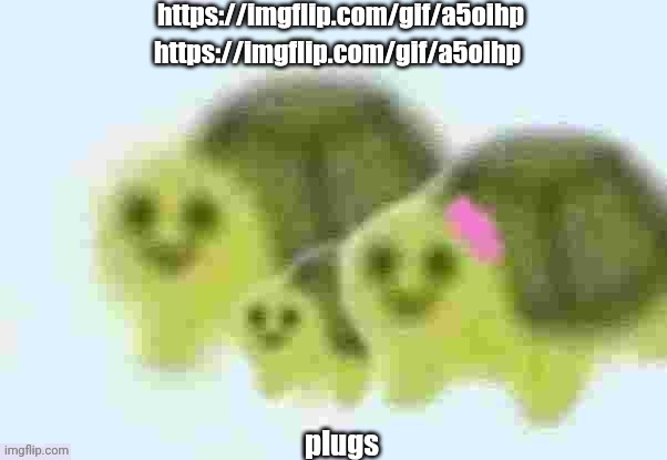 low quality turtle family | https://imgflip.com/gif/a5oihp; https://imgflip.com/gif/a5oihp; plugs | image tagged in low quality turtle family | made w/ Imgflip meme maker