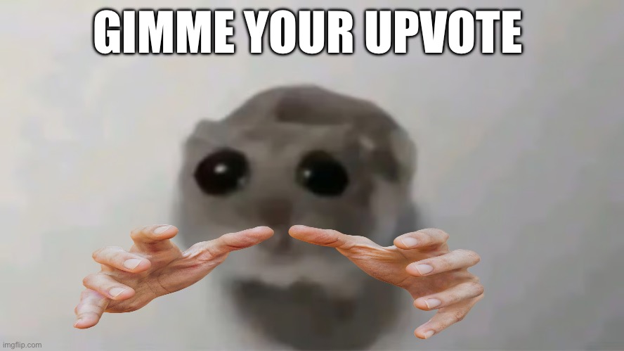 hampter sad | GIMME YOUR UPVOTE | image tagged in hampter sad | made w/ Imgflip meme maker