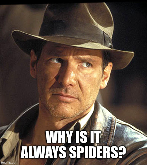 Indiana jones | WHY IS IT ALWAYS SPIDERS? | image tagged in indiana jones | made w/ Imgflip meme maker