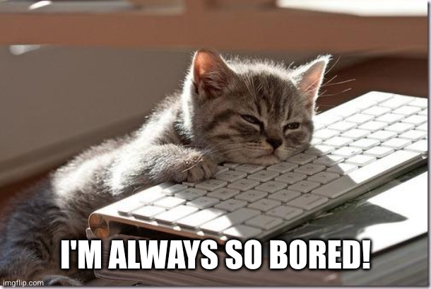 Bored Keyboard Cat | I'M ALWAYS SO BORED! | image tagged in bored keyboard cat | made w/ Imgflip meme maker
