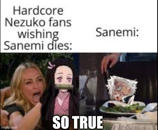 SO TRUE | SO TRUE | image tagged in anime meme | made w/ Imgflip meme maker