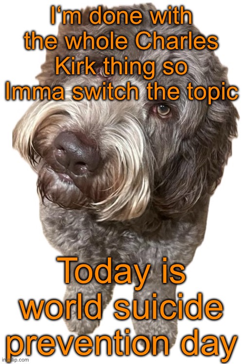 If you feel like a friend‘s behavior strangely changed, talk to them. If you have suicidal thoughts yourself, know: You matter. | I‘m done with the whole Charles Kirk thing so Imma switch the topic; Today is world suicide prevention day | image tagged in norther's dog | made w/ Imgflip meme maker