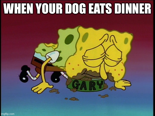 Dog Dinner | WHEN YOUR DOG EATS DINNER | image tagged in spongebob eating snail food,dinner,dog,eating | made w/ Imgflip meme maker