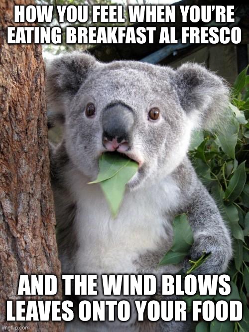 Breakfast outside | HOW YOU FEEL WHEN YOU’RE EATING BREAKFAST AL FRESCO; AND THE WIND BLOWS LEAVES ONTO YOUR FOOD | image tagged in memes,surprised koala,breakfast,leaves,outside | made w/ Imgflip meme maker