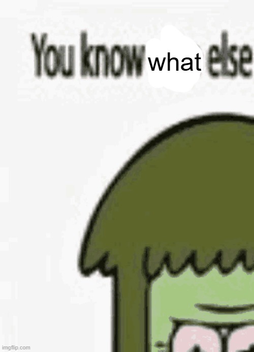 what | made w/ Imgflip meme maker