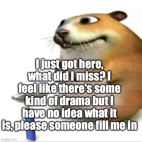 hampter | I just got here, what did I miss? I feel like there's some kind of drama but I have no idea what it is, please someone fill me in | image tagged in hampter | made w/ Imgflip meme maker