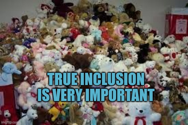 True inclusion is very important | TRUE INCLUSION IS VERY IMPORTANT | image tagged in teddy bear,toys,autism,inclusion,acceptance | made w/ Imgflip meme maker