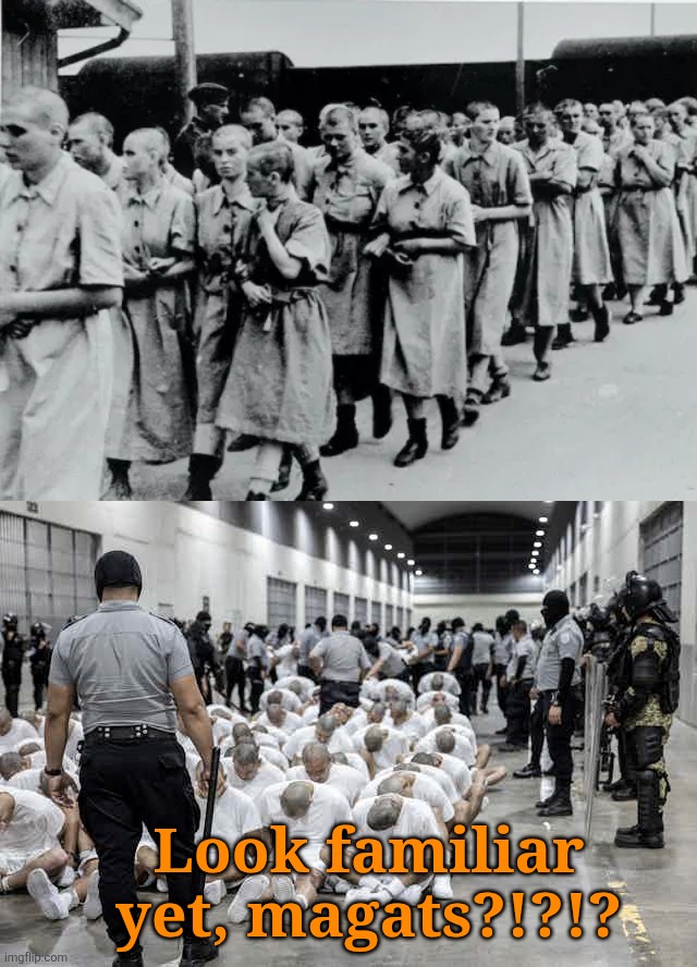 maga = NAZI | Look familiar yet, magats?!?!? | image tagged in jefthehobo,mga must go,maga are nazis,the flon must go,the felon is a nazi,fk maga | made w/ Imgflip meme maker