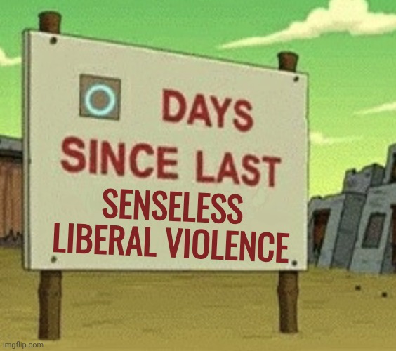 Futurama Zero Days Since Last Blank | SENSELESS LIBERAL VIOLENCE | image tagged in futurama zero days since last blank | made w/ Imgflip meme maker