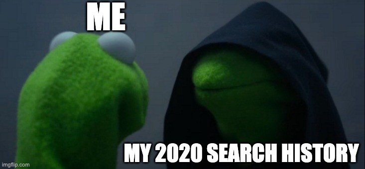 2020 was rough. | ME; MY 2020 SEARCH HISTORY | image tagged in memes,evil kermit | made w/ Imgflip meme maker