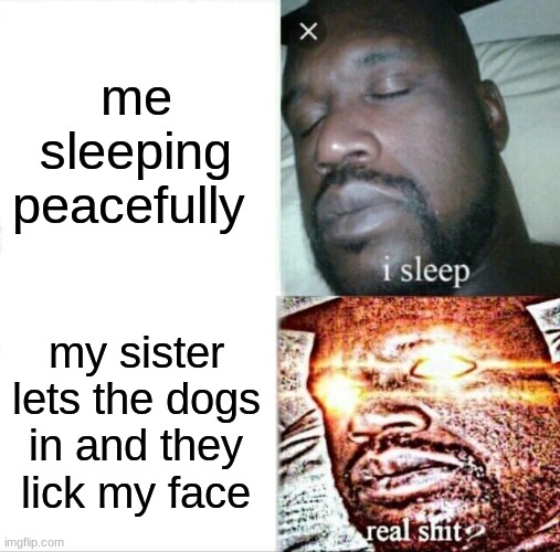 Sleeping Shaq | me sleeping peacefully; my sister lets the dogs in and they lick my face | image tagged in memes,sleeping shaq | made w/ Imgflip meme maker