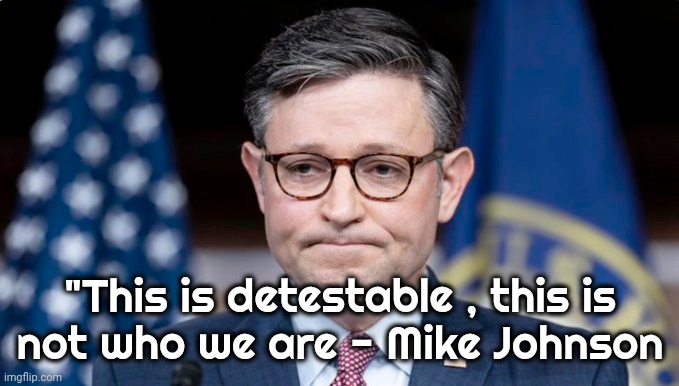 Unfortunately , it's who they are | "This is detestable , this is
not who we are - Mike Johnson | image tagged in mike johnson,democrats,bugs,no living with bugs,the lowest scum in history | made w/ Imgflip meme maker