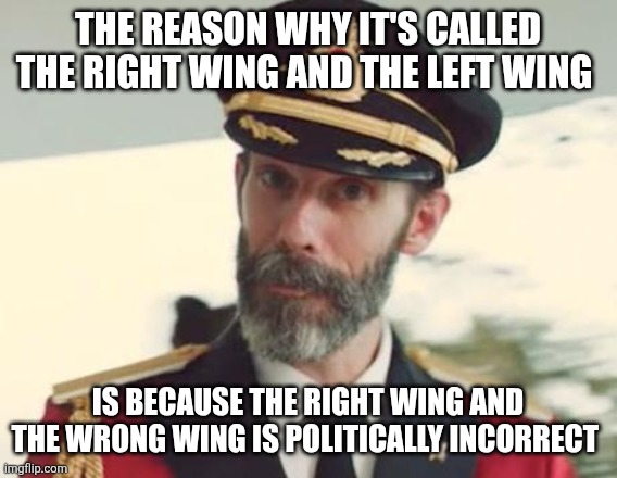 THE REASON WHY IT'S CALLED THE RIGHT WING AND THE LEFT WING IS BECAUSE THE RIGHT WING AND THE WRONG WING IS POLITICALLY INCORRECT | image tagged in captain obvious | made w/ Imgflip meme maker