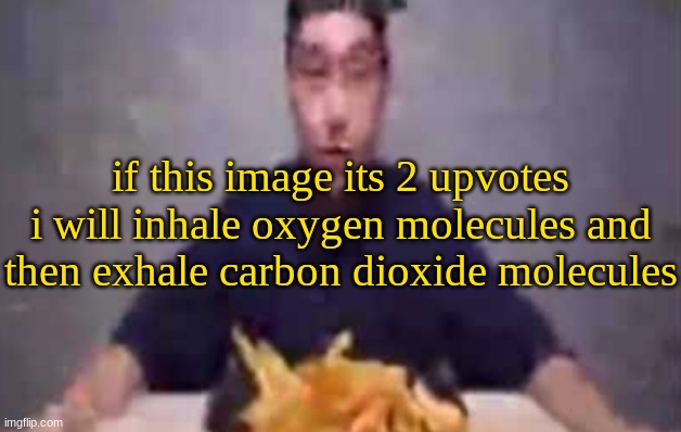 are these fries | if this image its 2 upvotes i will inhale oxygen molecules and then exhale carbon dioxide molecules | image tagged in are these fries | made w/ Imgflip meme maker