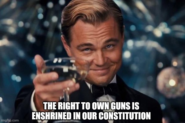 Leonardo Dicaprio Cheers Meme | THE RIGHT TO OWN GUNS IS ENSHRINED IN OUR CONSTITUTION | image tagged in memes,leonardo dicaprio cheers | made w/ Imgflip meme maker