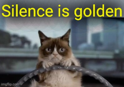 Grumpy cat driving | Silence is golden | image tagged in grumpy cat driving | made w/ Imgflip meme maker