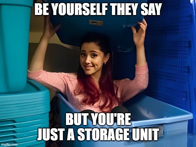 storage unit | BE YOURSELF THEY SAY; BUT YOU'RE JUST A STORAGE UNIT | image tagged in memes | made w/ Imgflip meme maker