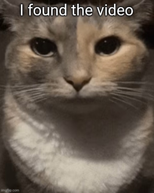 brochacho | I found the video | image tagged in brochacho | made w/ Imgflip meme maker