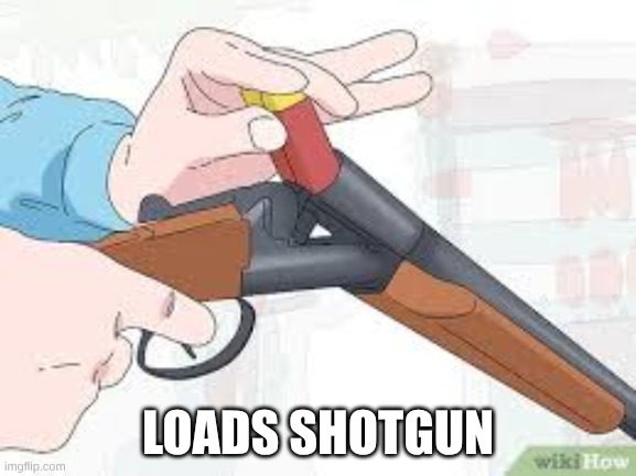 Loading shotgun | LOADS SHOTGUN | image tagged in loading shotgun | made w/ Imgflip meme maker