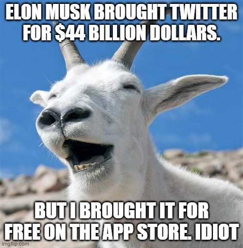 thats crazyyyyy | ELON MUSK BROUGHT TWITTER FOR $44 BILLION DOLLARS. BUT I BROUGHT IT FOR FREE ON THE APP STORE. IDIOT | image tagged in memes,laughing goat,elon musk,twitter,elon musk buying twitter | made w/ Imgflip meme maker