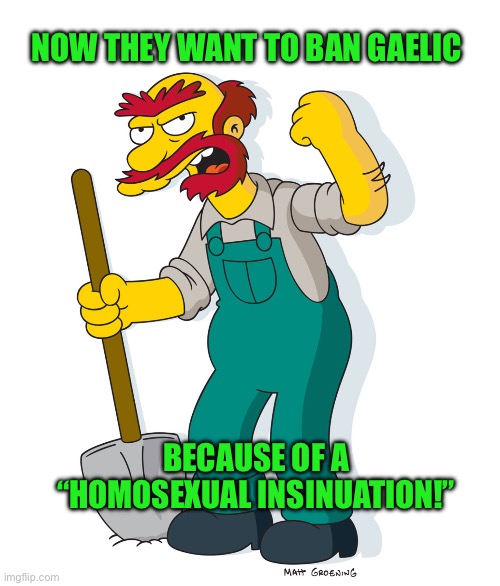 NOW THEY WANT TO BAN GAELIC; BECAUSE OF A “HOMOSEXUAL INSINUATION!” | image tagged in the simpsons | made w/ Imgflip meme maker
