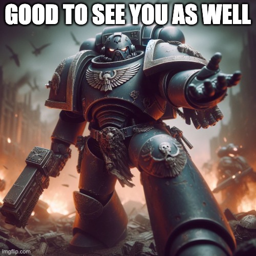 GOOD TO SEE YOU AS WELL | image tagged in space marine join me brother | made w/ Imgflip meme maker