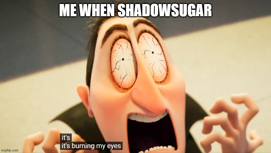 We Hate Shadowsugar | ME WHEN SHADOWSUGAR | image tagged in it's burning my eyes | made w/ Imgflip meme maker