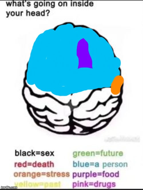 What's going on inside your head? | image tagged in what's going on inside your head | made w/ Imgflip meme maker