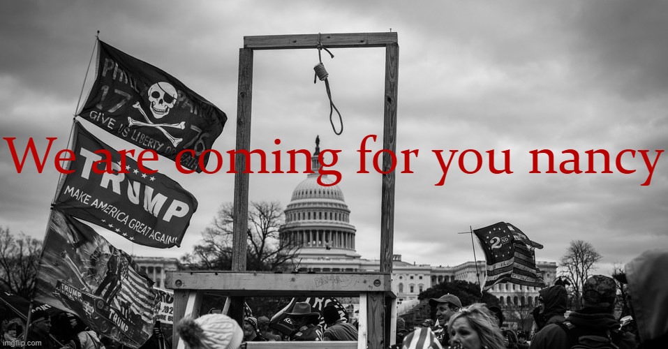 Capitol Hill riot gallows | We are coming for you nancy | image tagged in capitol hill riot gallows | made w/ Imgflip meme maker