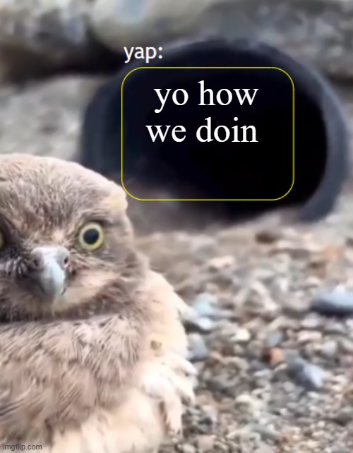 lazy template | yo how we doin | image tagged in parannouncements lazy | made w/ Imgflip meme maker