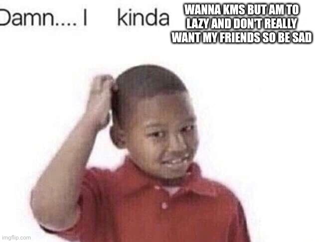 Damn I kinda don’t meme | WANNA KMS BUT AM TO LAZY AND DON'T REALLY WANT MY FRIENDS SO BE SAD | image tagged in damn i kinda don t meme | made w/ Imgflip meme maker