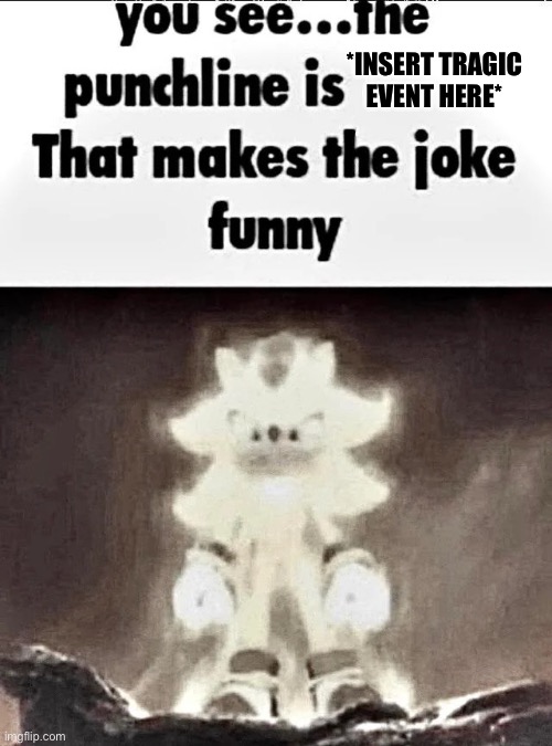 Shadow explains the joke | *INSERT TRAGIC EVENT HERE* | image tagged in shadow explains the joke | made w/ Imgflip meme maker
