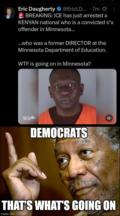 This is what you get when you elect democrats | DEMOCRATS; THAT'S WHAT'S GOING ON | image tagged in this morgan freeman,democrats,pedo party | made w/ Imgflip meme maker