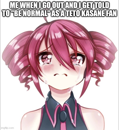 BUT HOW DO I BE NORMAL | ME WHEN I GO OUT AND I GET TOLD TO "BE NORMAL" AS A TETO KASANE FAN | image tagged in crying teto | made w/ Imgflip meme maker
