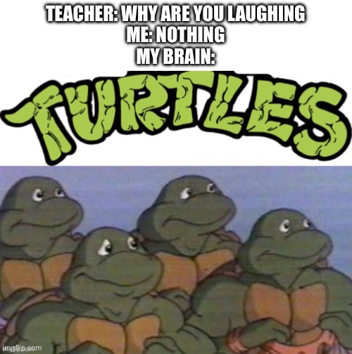 Turtles. | TEACHER: WHY ARE YOU LAUGHING
ME: NOTHING
MY BRAIN: | image tagged in tmnt,why are you laughing,never | made w/ Imgflip meme maker