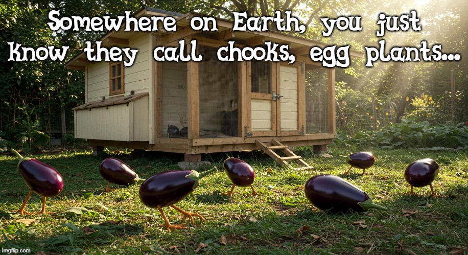 egg plants ...sort of | Somewhere on Earth, you just know they call chooks, egg plants... | image tagged in chickens,chooks,aubergines | made w/ Imgflip meme maker
