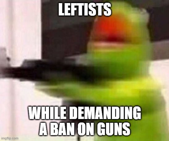 school shooter (muppet) | LEFTISTS; WHILE DEMANDING A BAN ON GUNS | image tagged in school shooter muppet | made w/ Imgflip meme maker