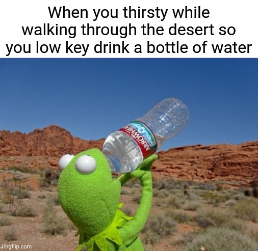 Kermit drinking water  | When you thirsty while walking through the desert so you low key drink a bottle of water | image tagged in kermit drinking water | made w/ Imgflip meme maker