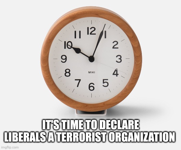 IT'S TIME TO DECLARE LIBERALS A TERRORIST ORGANIZATION | image tagged in funny memes | made w/ Imgflip meme maker