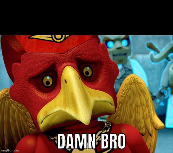 DAMN BRO | image tagged in damn bro,funny memes,memes,funny,news,meme | made w/ Imgflip meme maker
