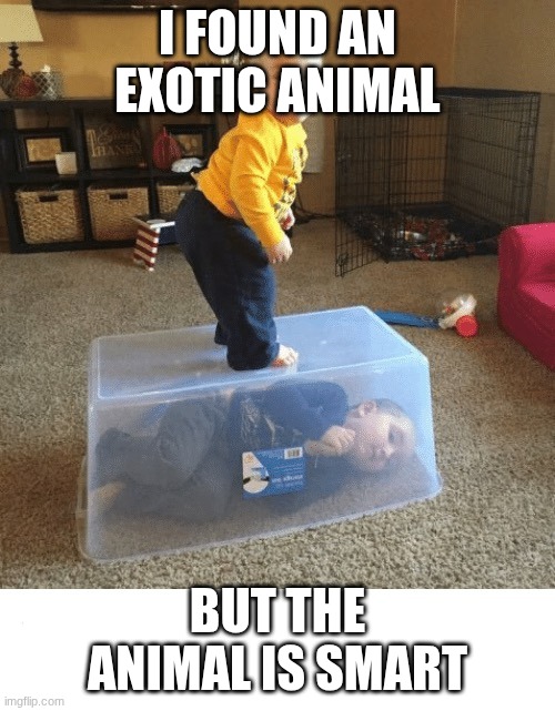 Stop your sibling | I FOUND AN EXOTIC ANIMAL; BUT THE ANIMAL IS SMART | image tagged in stop your sibling | made w/ Imgflip meme maker
