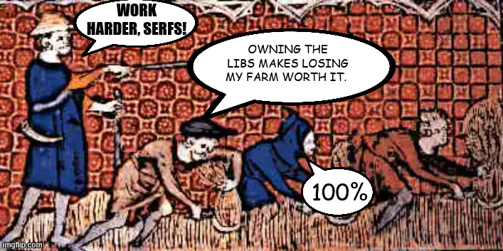 WORK HARDER, SERFS! OWNING THE LIBS MAKES LOSING MY FARM WORTH IT. 100% | made w/ Imgflip meme maker