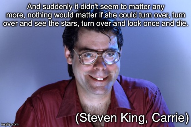 Steven King | And suddenly it didn't seem to matter any more, nothing would matter if she could turn over, turn over and see the stars, turn over and look | image tagged in steven king | made w/ Imgflip meme maker
