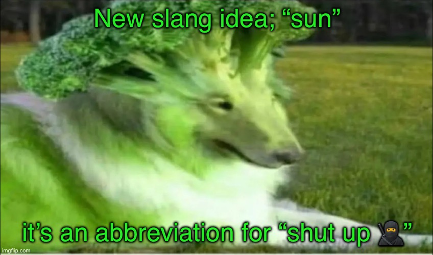 Broco dogo | New slang idea; “sun”; it’s an abbreviation for “shut up 🥷” | image tagged in broco dogo | made w/ Imgflip meme maker