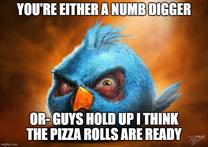 angry birds blue | YOU'RE EITHER A NUMB DIGGER; OR- GUYS HOLD UP I THINK THE PIZZA ROLLS ARE READY | image tagged in angry birds blue | made w/ Imgflip meme maker
