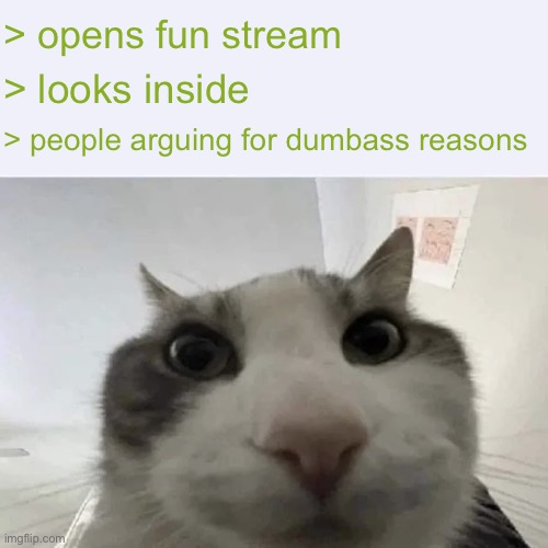 Istg this stream is the reason why i left this stream | > opens fun stream; > looks inside; > people arguing for dumbass reasons | image tagged in green text cat | made w/ Imgflip meme maker