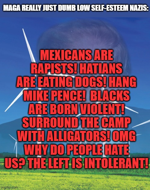 MEXICANS ARE RAPISTS! HATIANS ARE EATING DOGS! HANG MIKE PENCE!  BLACKS ARE BORN VIOLENT! SURROUND THE CAMP WITH ALLIGATORS! OMG WHY DO PEOPLE HATE US? THE LEFT IS INTOLERANT! MAGA REALLY JUST DUMB LOW SELF-ESTEEM NAZIS: | image tagged in maga,dumb,nazis,insecure | made w/ Imgflip meme maker