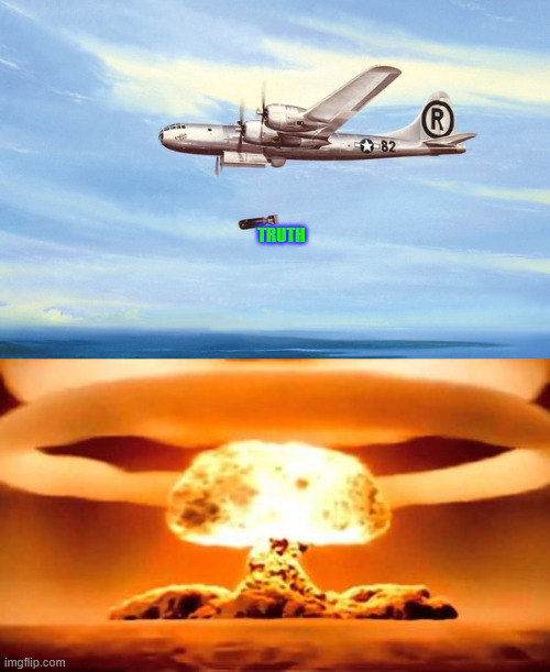 TRUTH | image tagged in dropping truth bombs,truth bomb | made w/ Imgflip meme maker