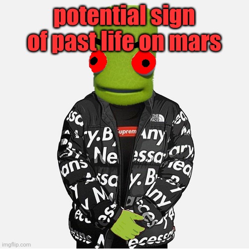 there was a rock that is usually formed by bacteria | potential sign of past life on mars | image tagged in evil epilektoi drip | made w/ Imgflip meme maker