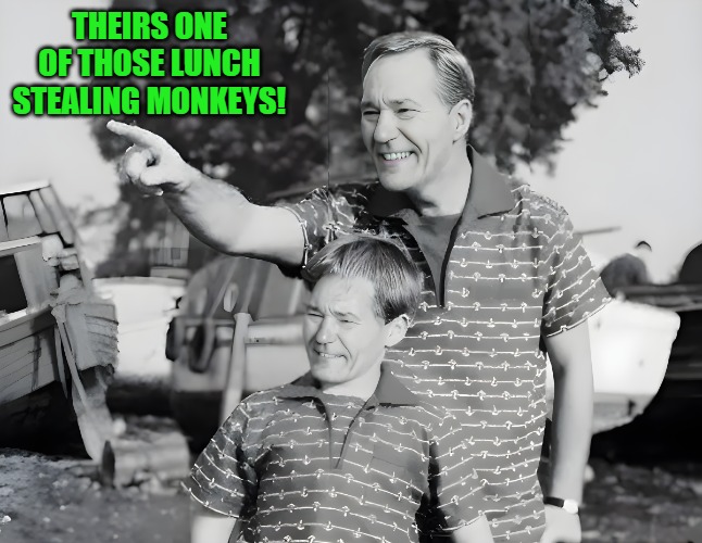 look | THEIRS ONE OF THOSE LUNCH STEALING MONKEYS! | image tagged in look | made w/ Imgflip meme maker
